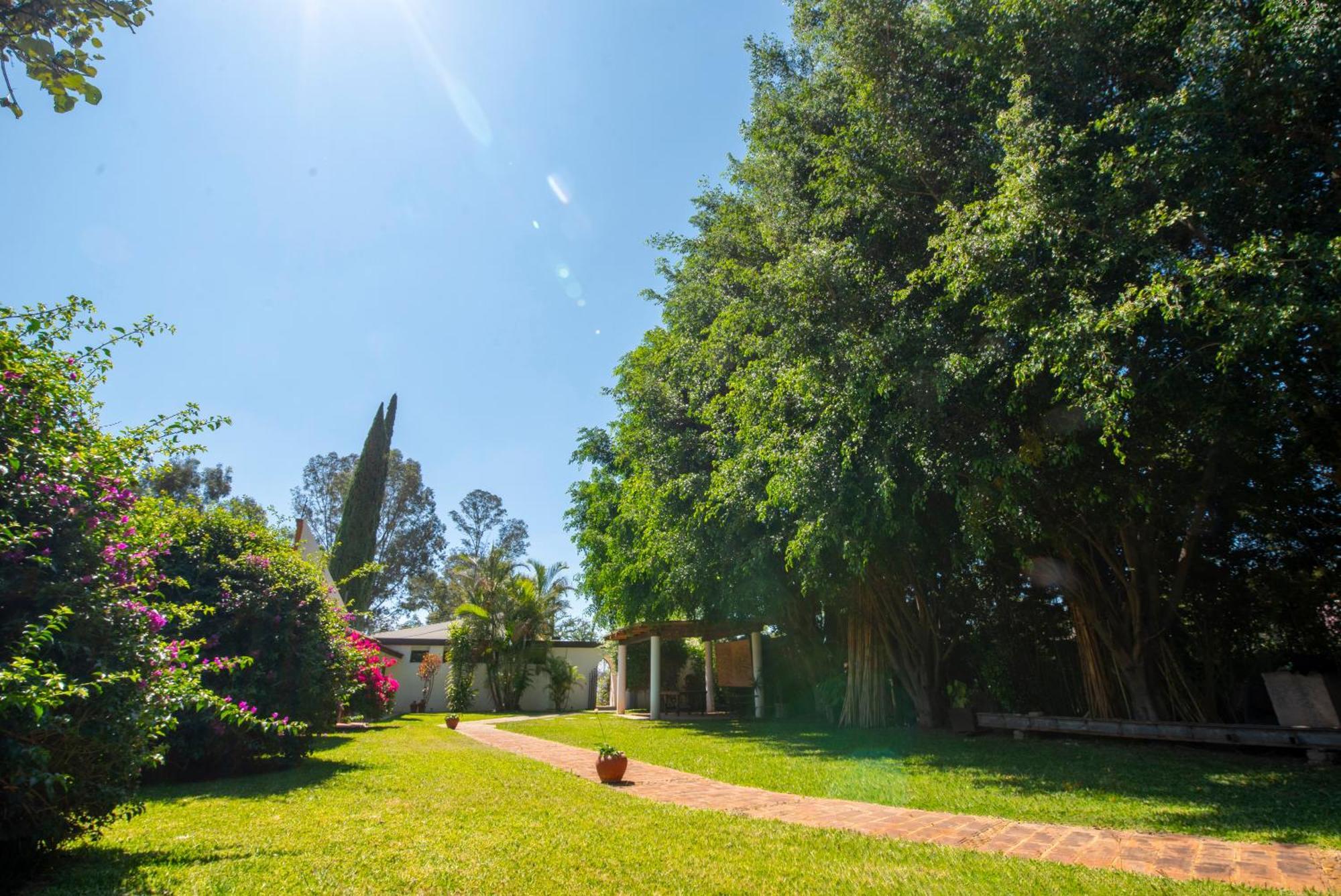Villa Borghese Hotel Boutique - Adults Only Oaxaca Zewnętrze zdjęcie